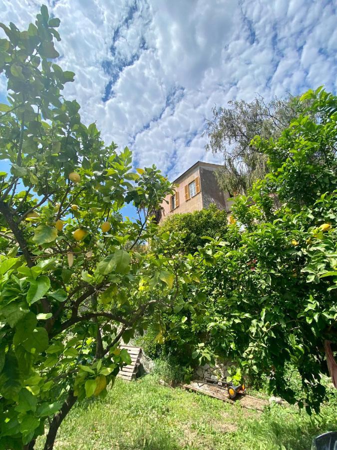 Out Finish Villa Cassi Finale Ligure Exterior photo